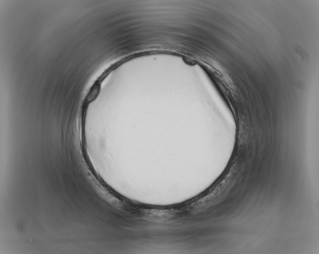 X0000114200796200911061423