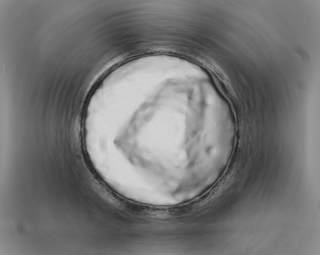 X0000114200798200911061423