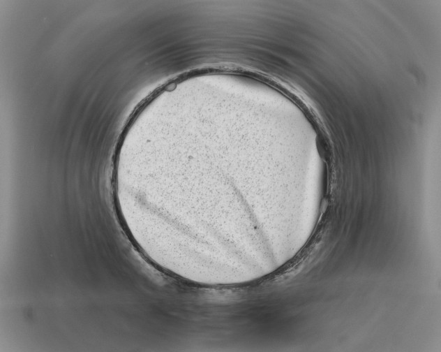 X0000114200799200911061423