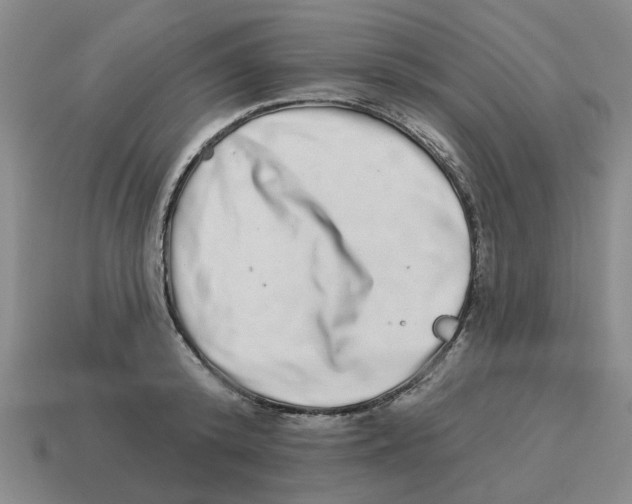 X0000114200800200911061423