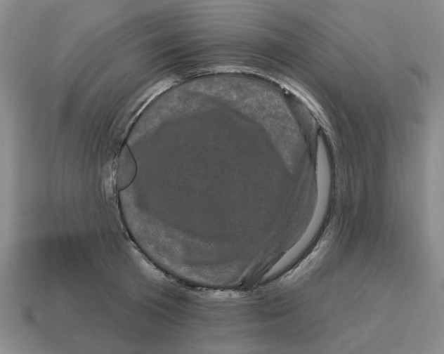 X0000114200801200911061423