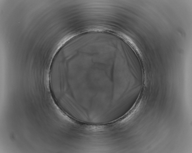 X0000114200802200911061423