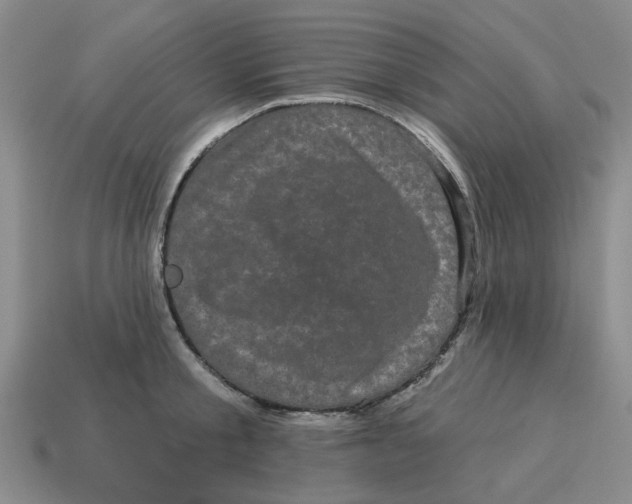 X0000114200805200911061423