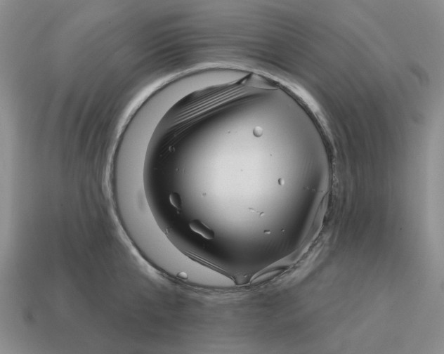 X0000114200807200911061423