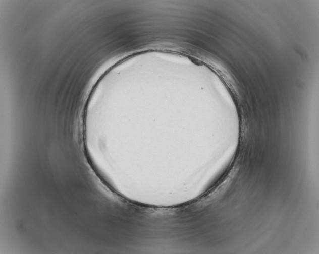 X0000114200808200911061423