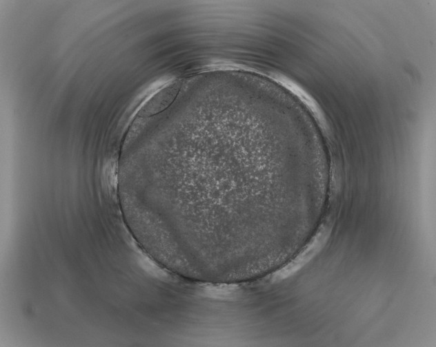 X0000114200809200911061423