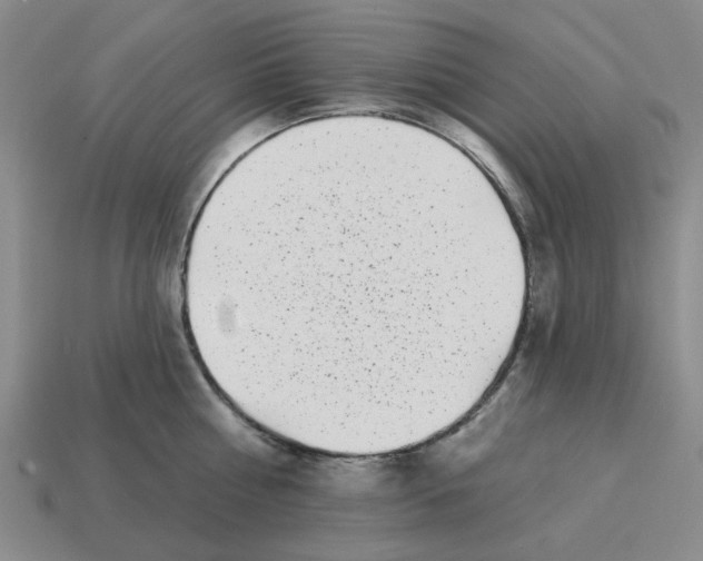 X0000114200810200911061423