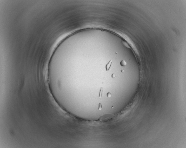 X0000114200815200911061423