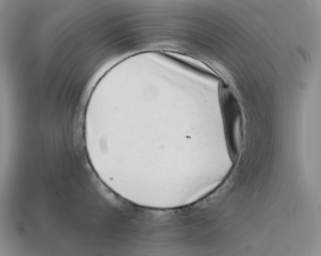 X0000114200816200911061423