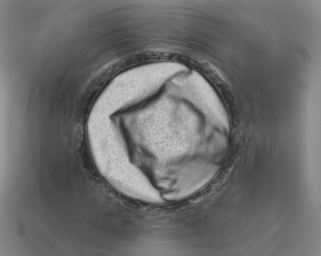 X0000114200821200911061422