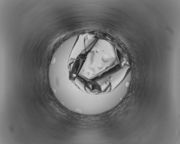 X0000114200824200911061422