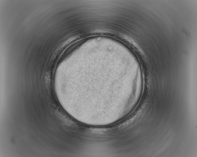 X0000114200825200911061422