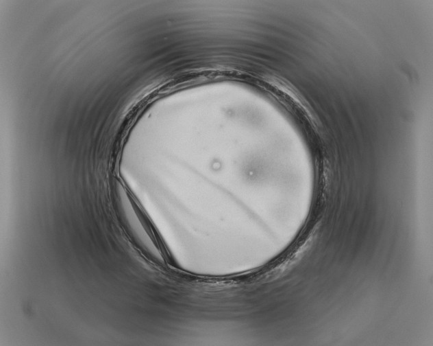 X0000114200826200911061422