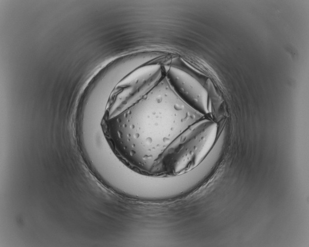 X0000114200828200911061422