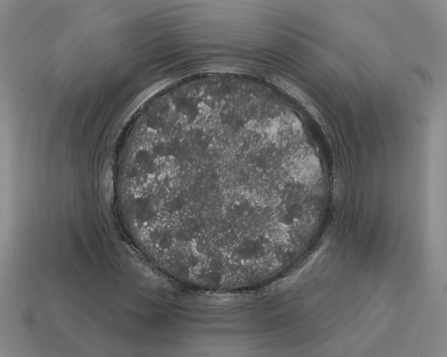 X0000114200829200911061422