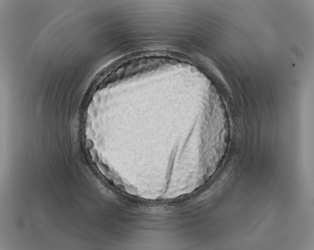 X0000114200831200911061423