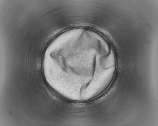 X0000114200833200911061423