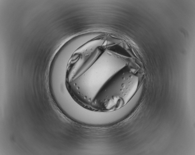 X0000114200836200911061423