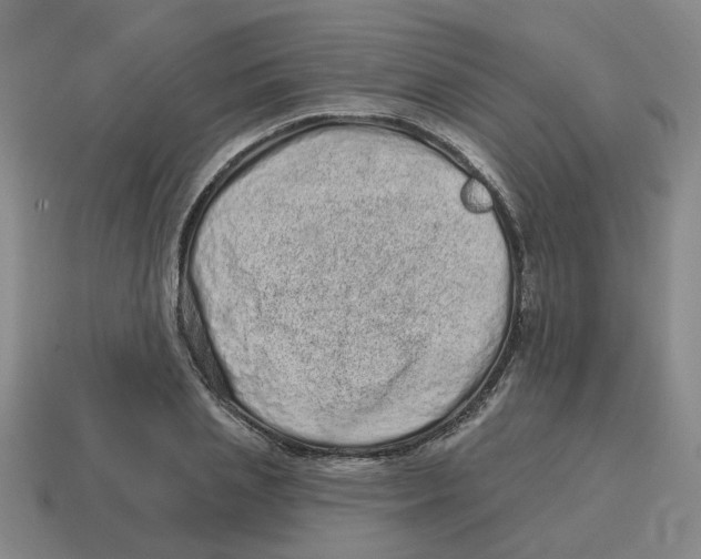 X0000114200837200911061423