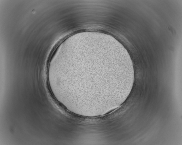 X0000114200840200911061423