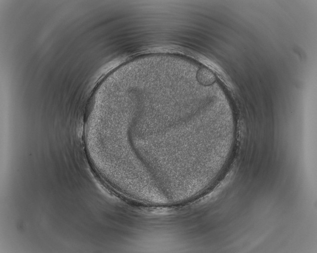 X0000114200841200911061423