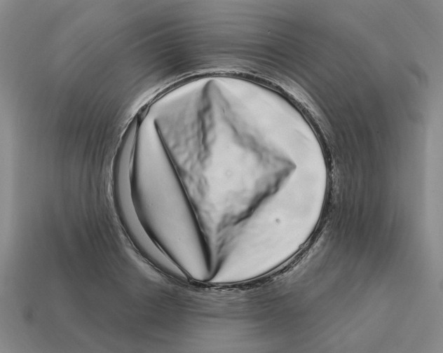 X0000114200842200911061423