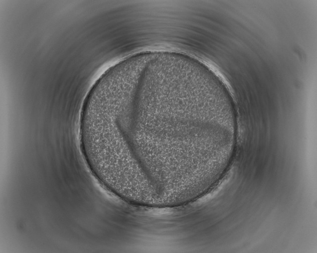 X0000114200845200911061423