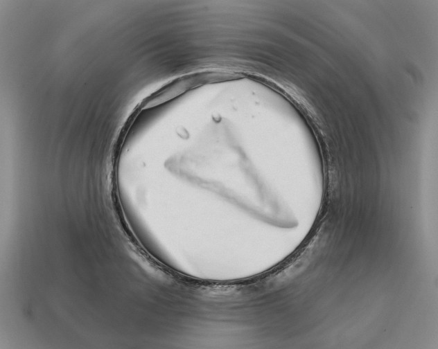 X0000114200846200911061423