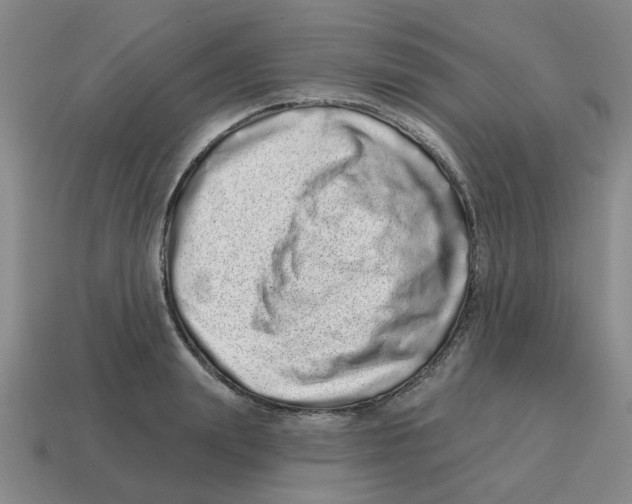 X0000114200847200911061423