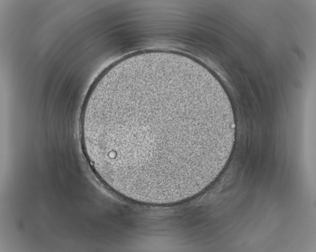 X0000114200848200911061423