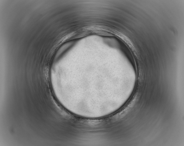 X0000114200849200911061423