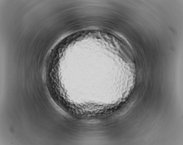 X0000114200851200911061423