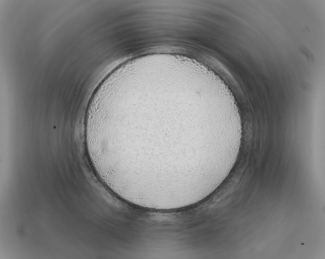 X0000114200852200911061423