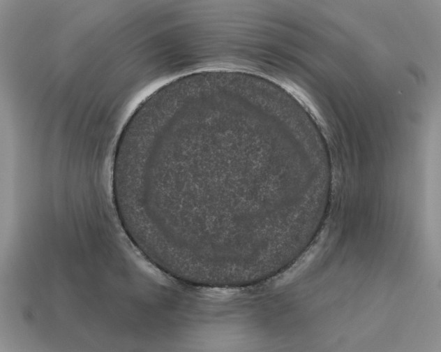 X0000114200854200911061423