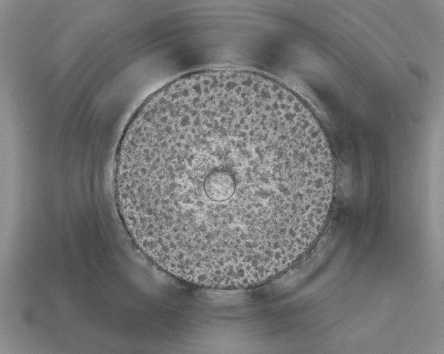 X0000114200856200911061423