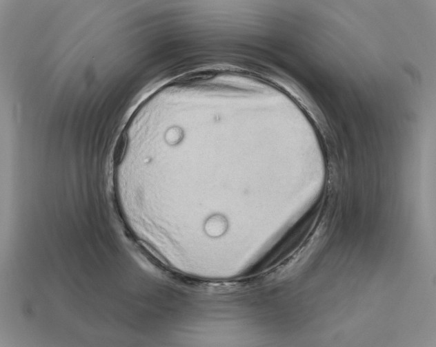 X0000114200858200911061423