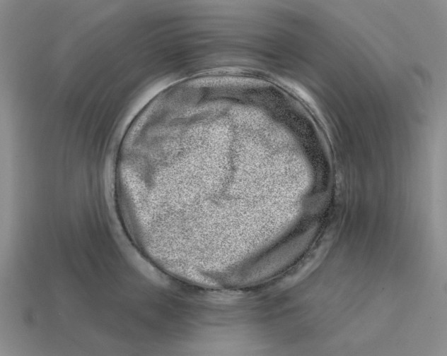 X0000114200859200911061423