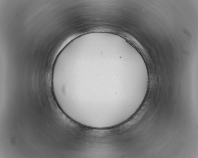 X0000114200860200911061423