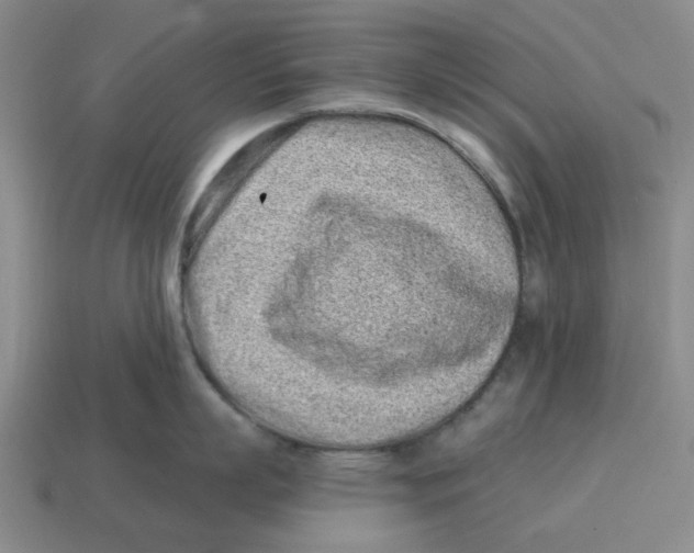 X0000114200863200911061423