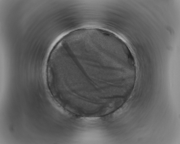 X0000114200864200911061423