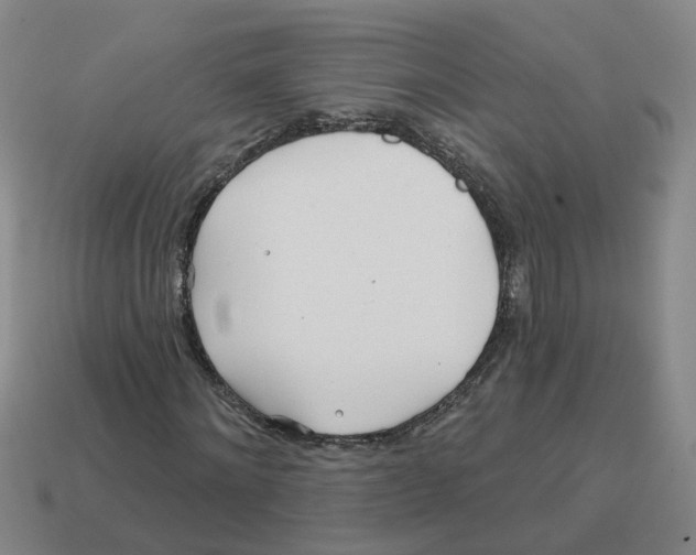 X0000114200868200911061422