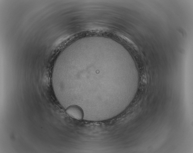 X0000114200869200911061422