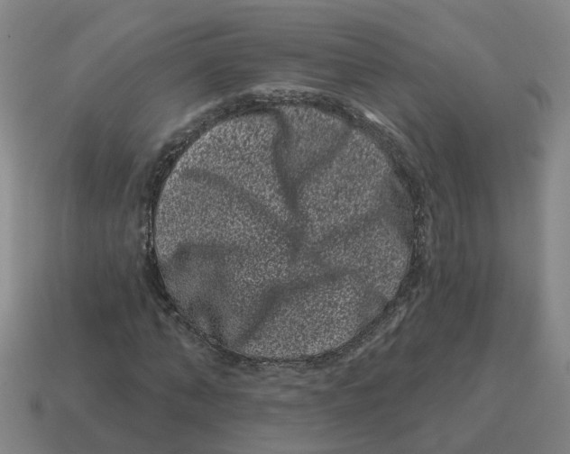 X0000114200870200911061422