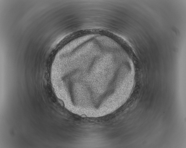 X0000114200871200911061422