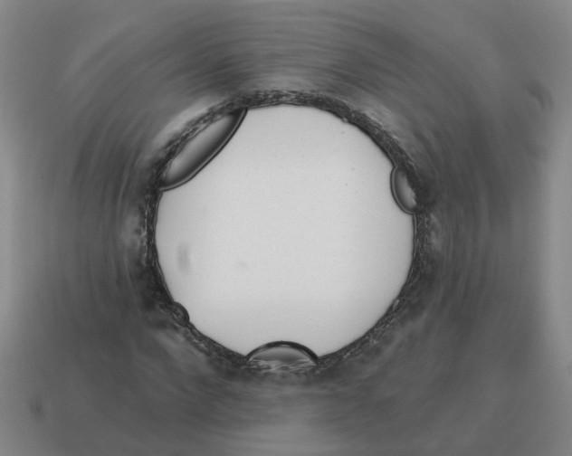 X0000114200872200911061422