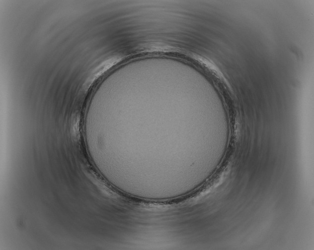 X0000114200873200911061422