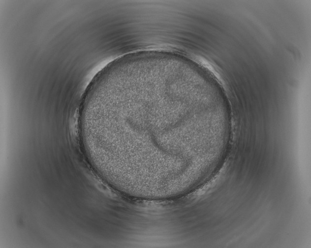 X0000114200875200911061422