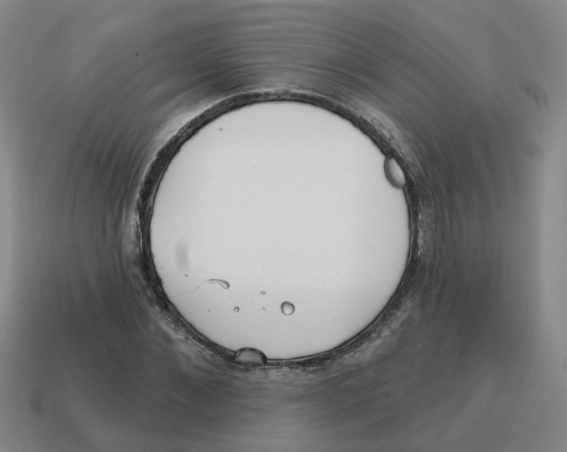 X0000114200876200911061422