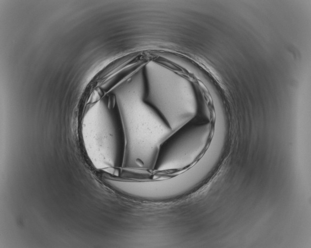 X0000114200877200911061422