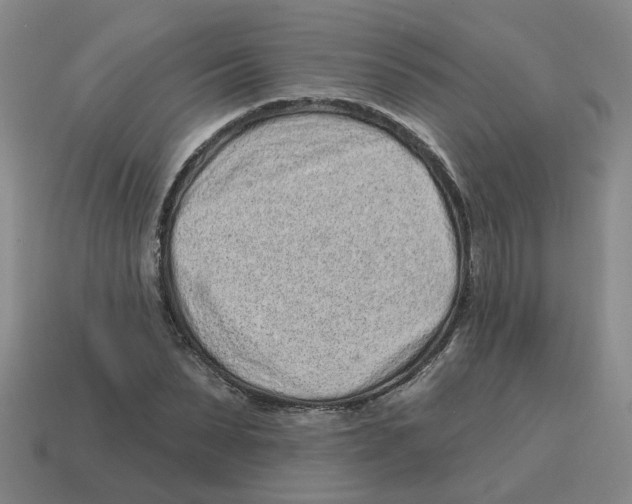 X0000114200879200911061422